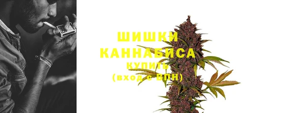 сатива Абинск