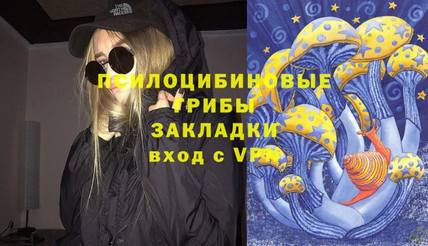сатива Абинск
